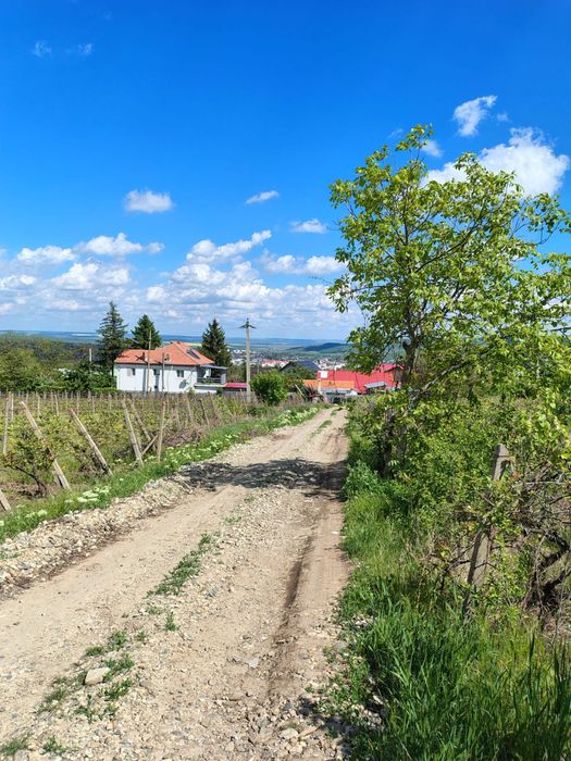Teren în Huși - 2800 mp.