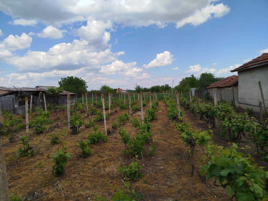 Продава се Къща в с. Обнова, Област Плевен - 200 кв.м за 210 €/кв.м - Снимка #5