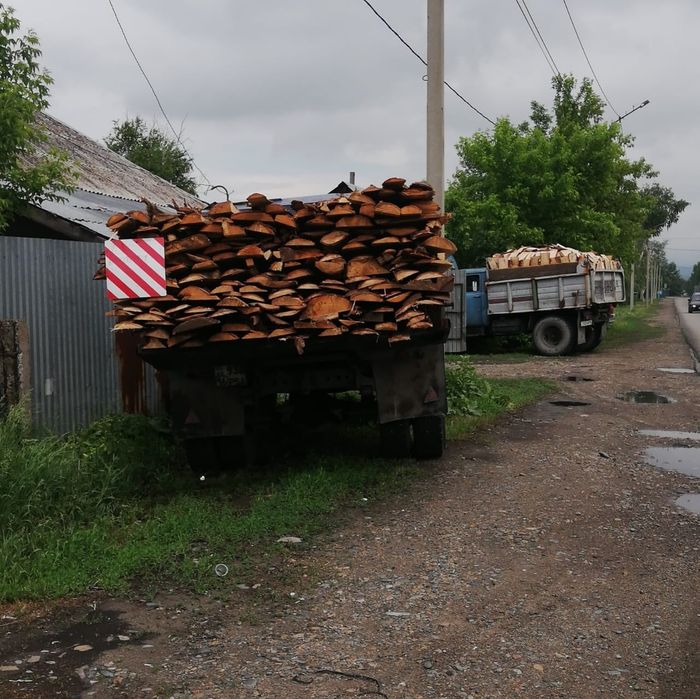 Сухие дрова от 45000