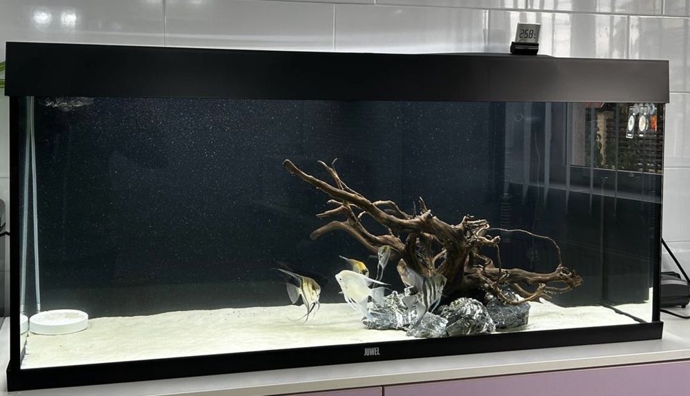 Acvariu Juwel Rio 240 litri