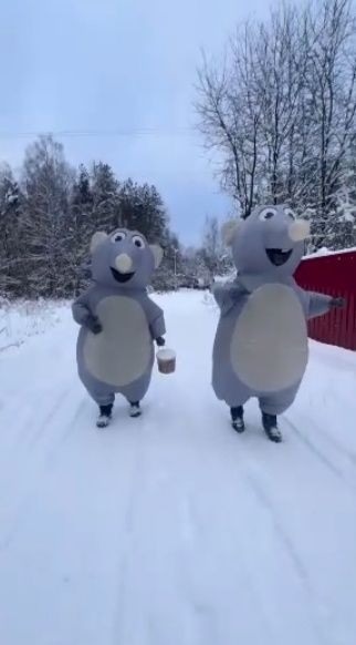 Сдам напрокат костюм крысы