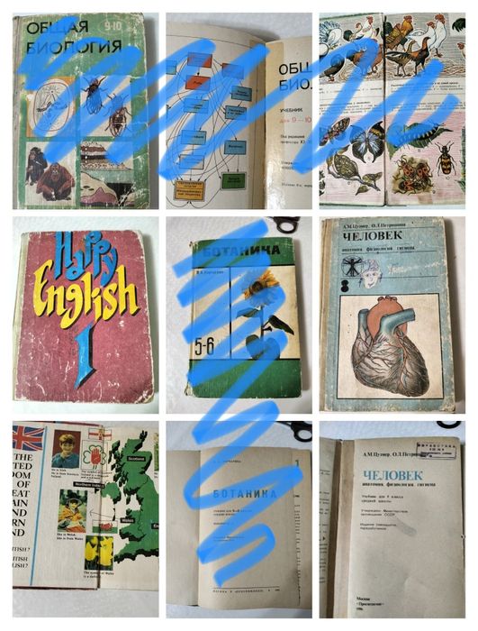 Учебник английского языка, анатомия человека, методическое пособие по