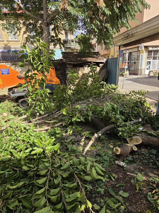 Почистване на парцели,дворове и запустели имоти