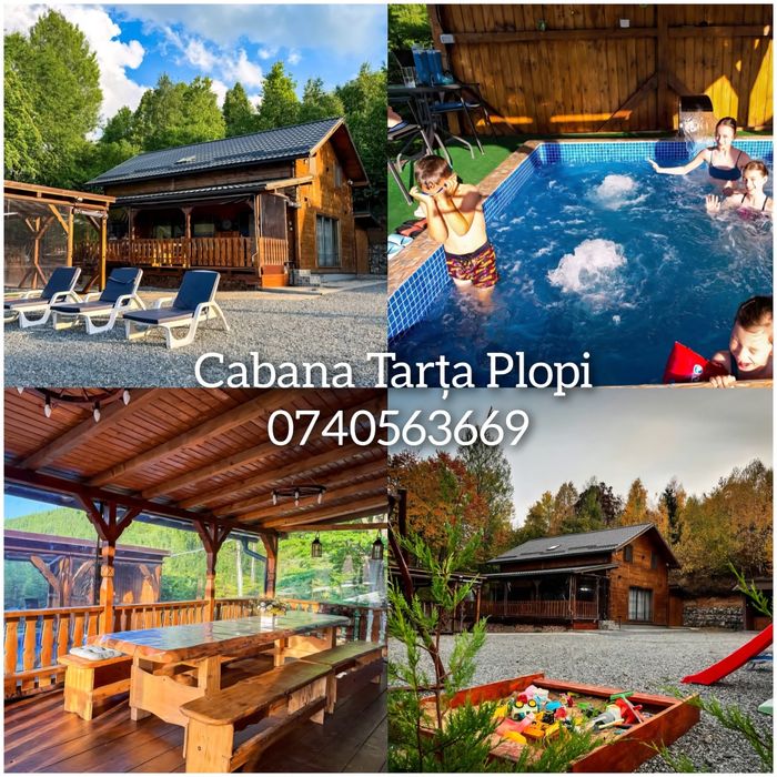 Cabana de vânzare