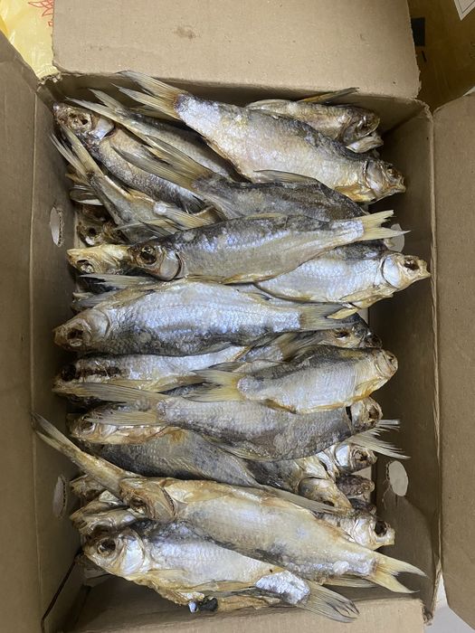 Сушенная соленая вобла