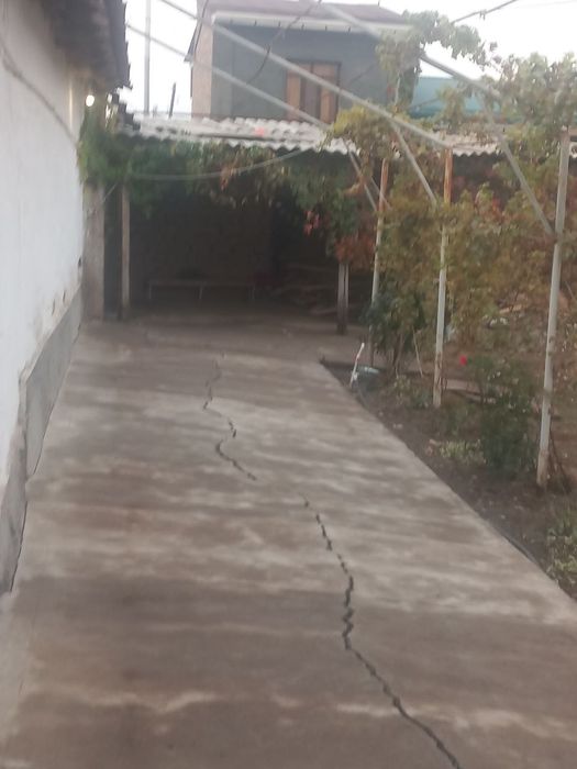 Ajoyib yer 2,2 sotik