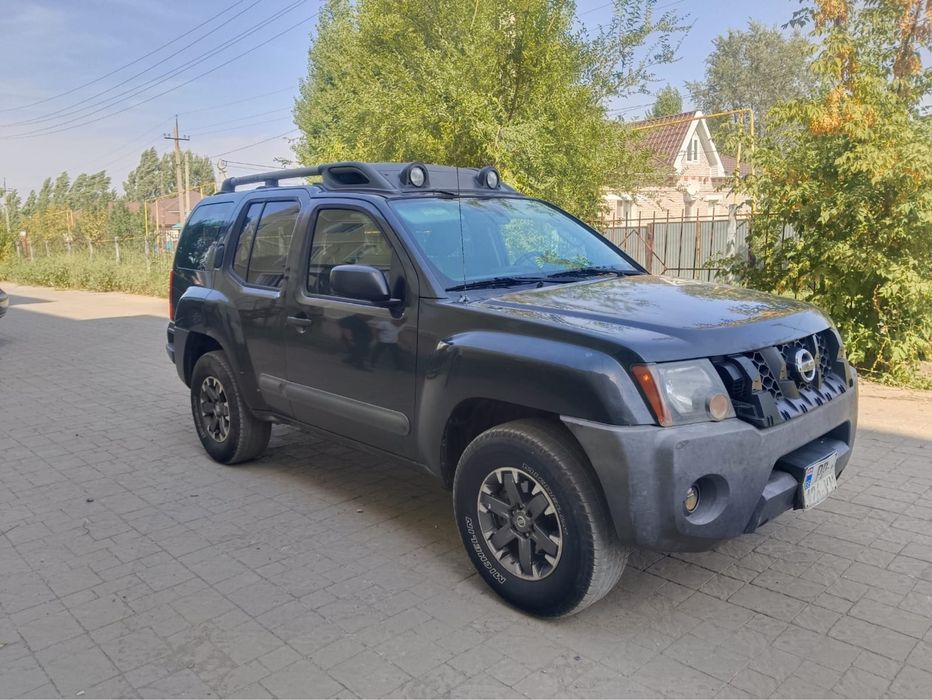 Обменяю н акоров быков