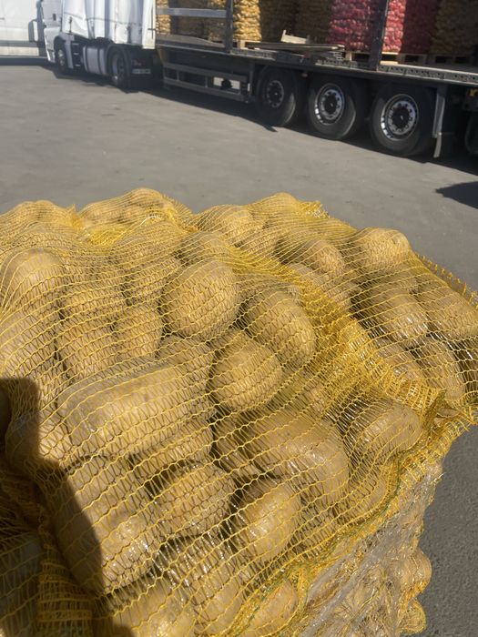 Cartofi +55, Mere , varză, morcovi