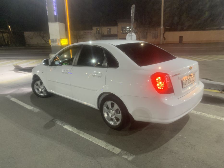 Jentra 2023 yil bez luk