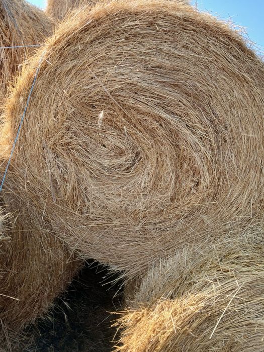 Vând baloți de fân