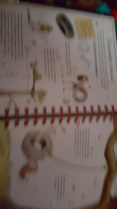 Книга для девочек 500 тенге