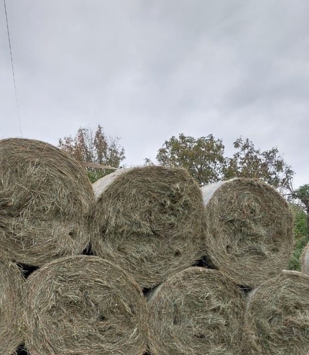 Vand transport baliti de fan 120 ×120