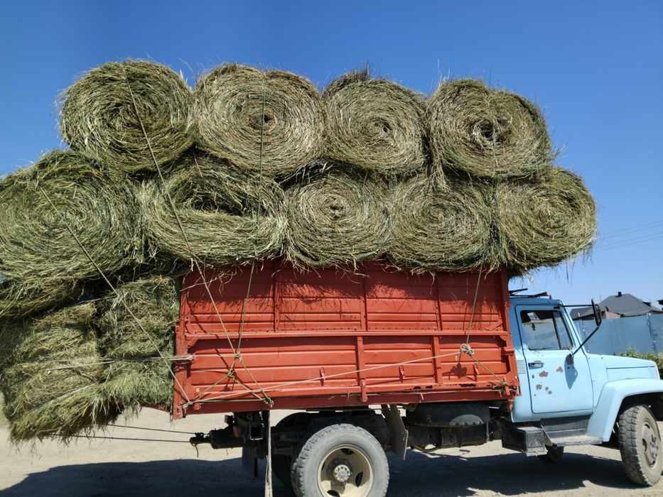 сено люцерна жоношка урлон жоношка