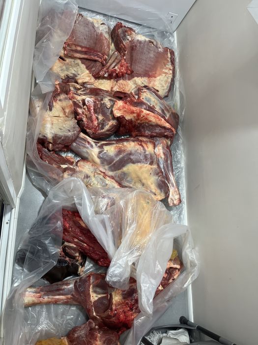 Соғым * Жабағы *