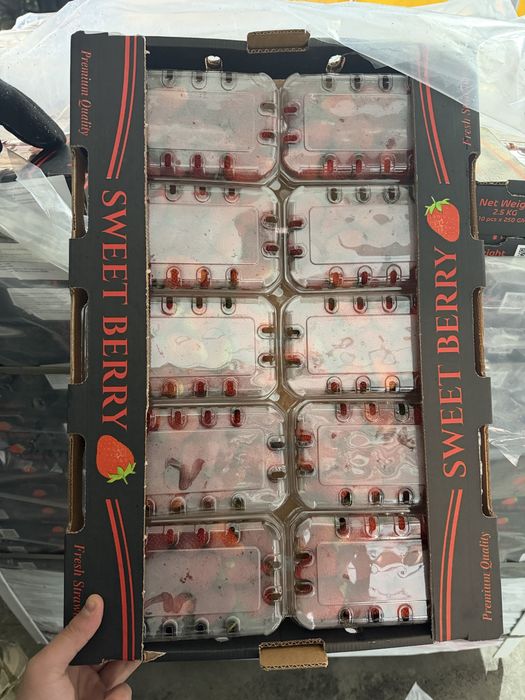 Клубника Египет