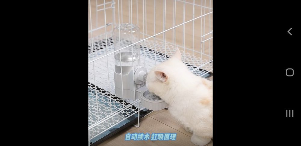 Продаётся кормушка для кроликов , собак , кошек и попугаев.