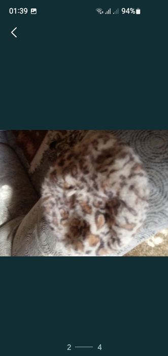 Подам бирет с шарфом