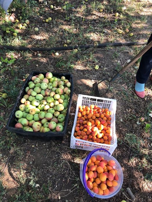 Дача за Новеньким