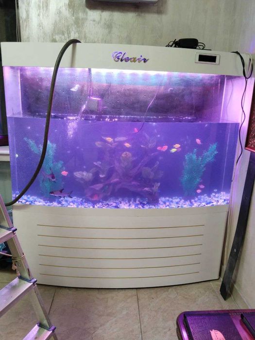 Профессиональная чистка аквариума AQUALlFE