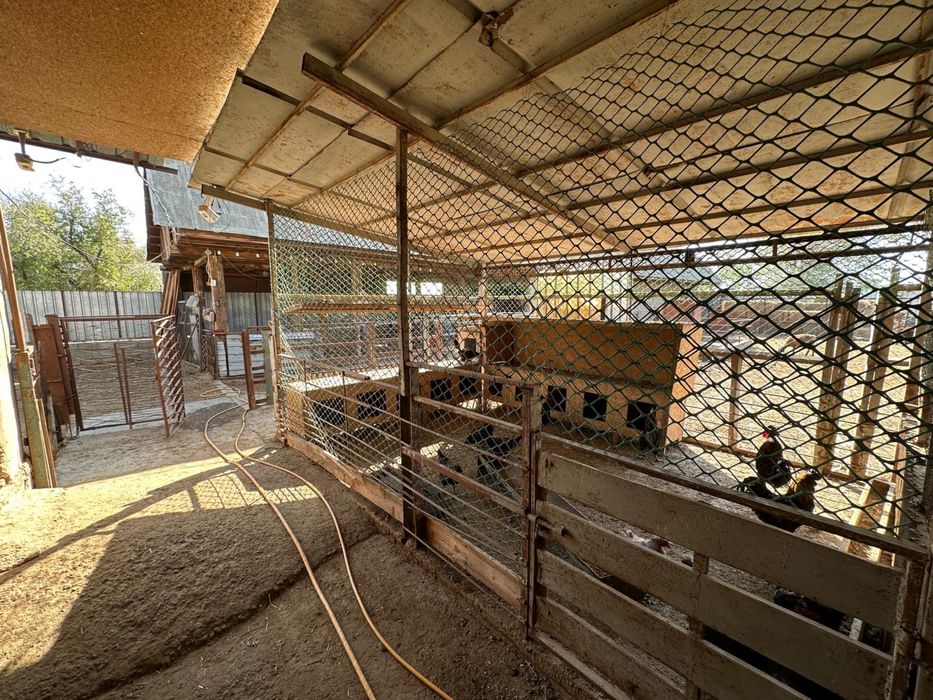 Фермерское хозяйство