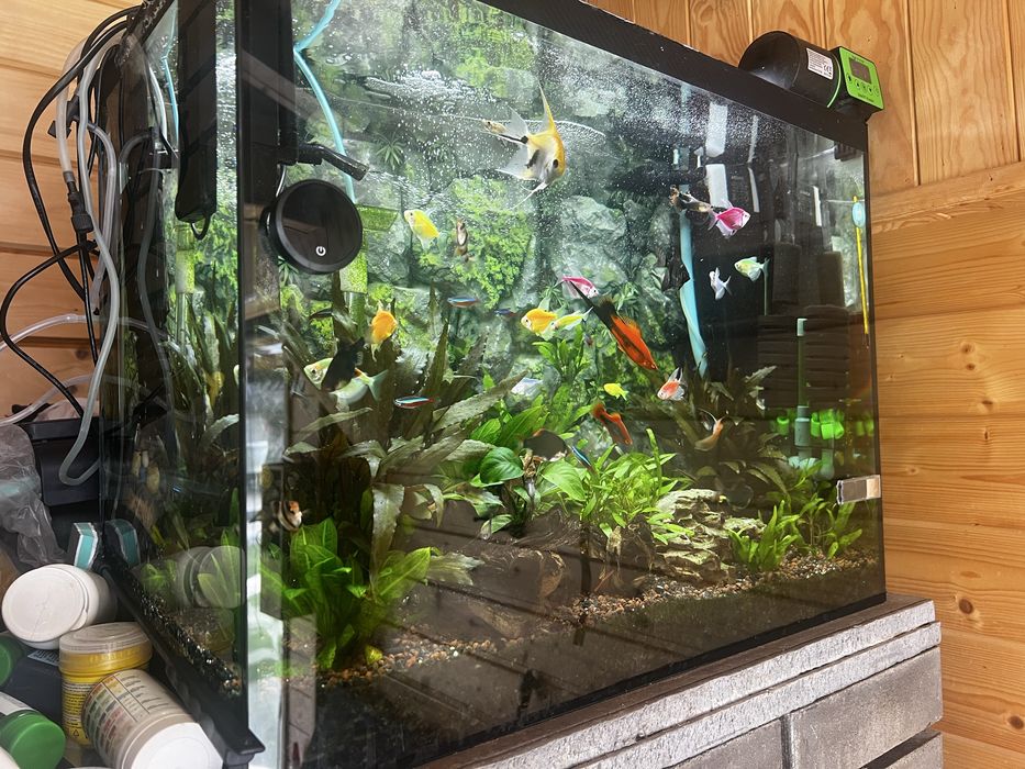 Vand acvariu 80 L complet