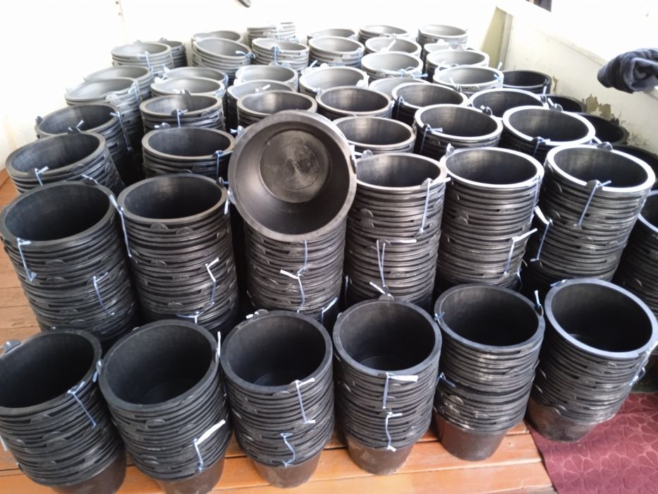 Panda chelak va tog'ara optim va donaga sotiladi