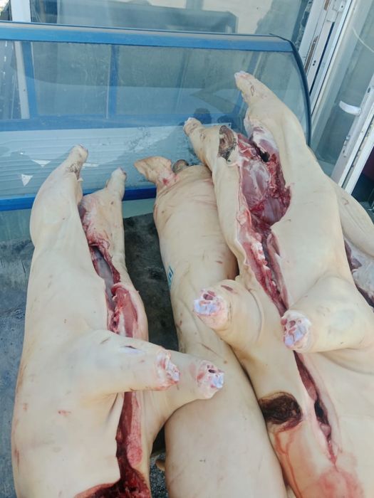 Свинина ( по низкой цене )