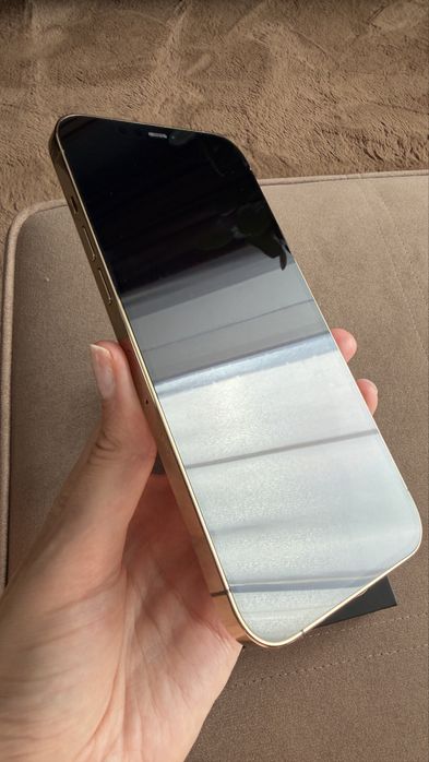 Iphone 12 Pro Max 256 Гб