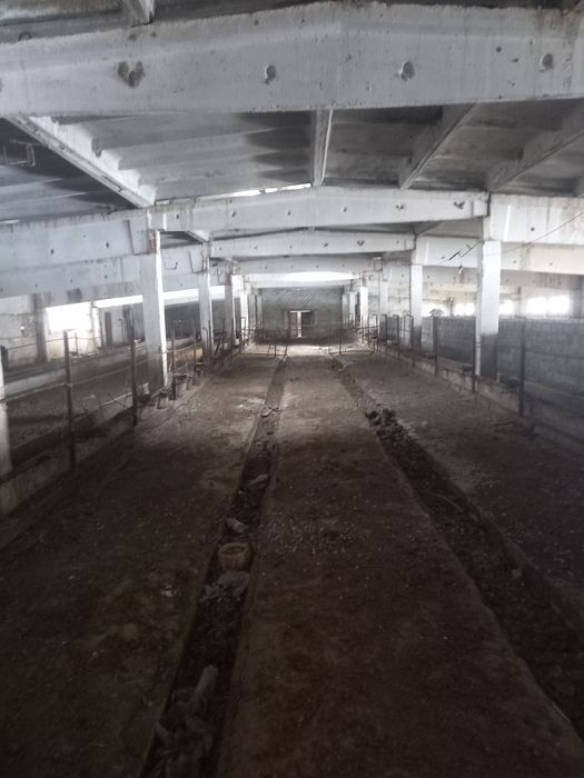 Фазенда база.     .