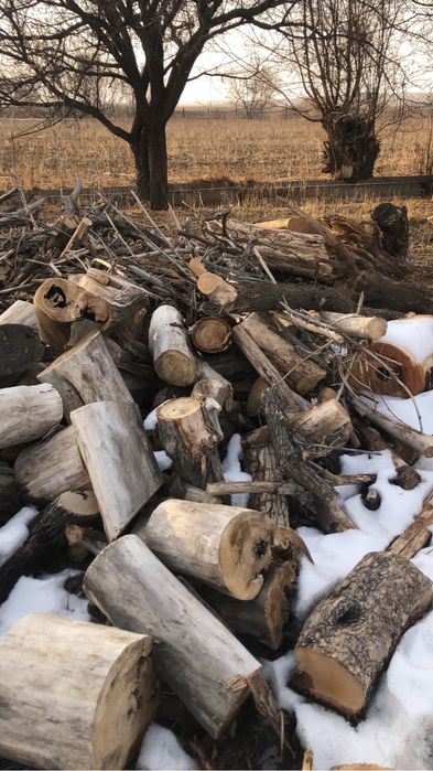 Дрова для шашлыка и бани