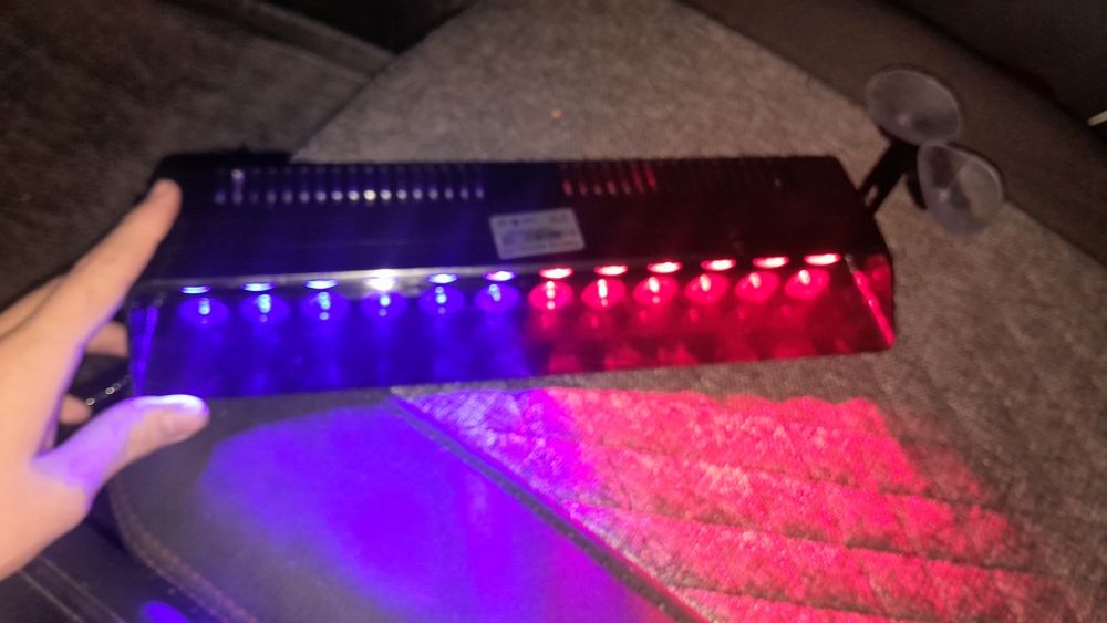 Стробоскоп олд лабавойга s12 qizil kuk hali yengi