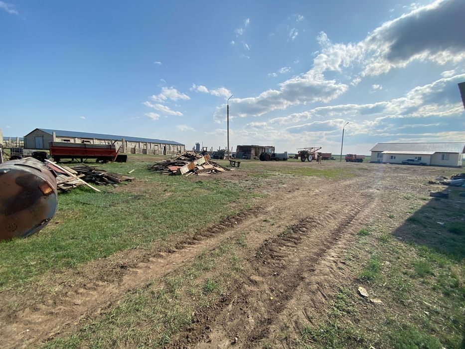 Продам хозяйство