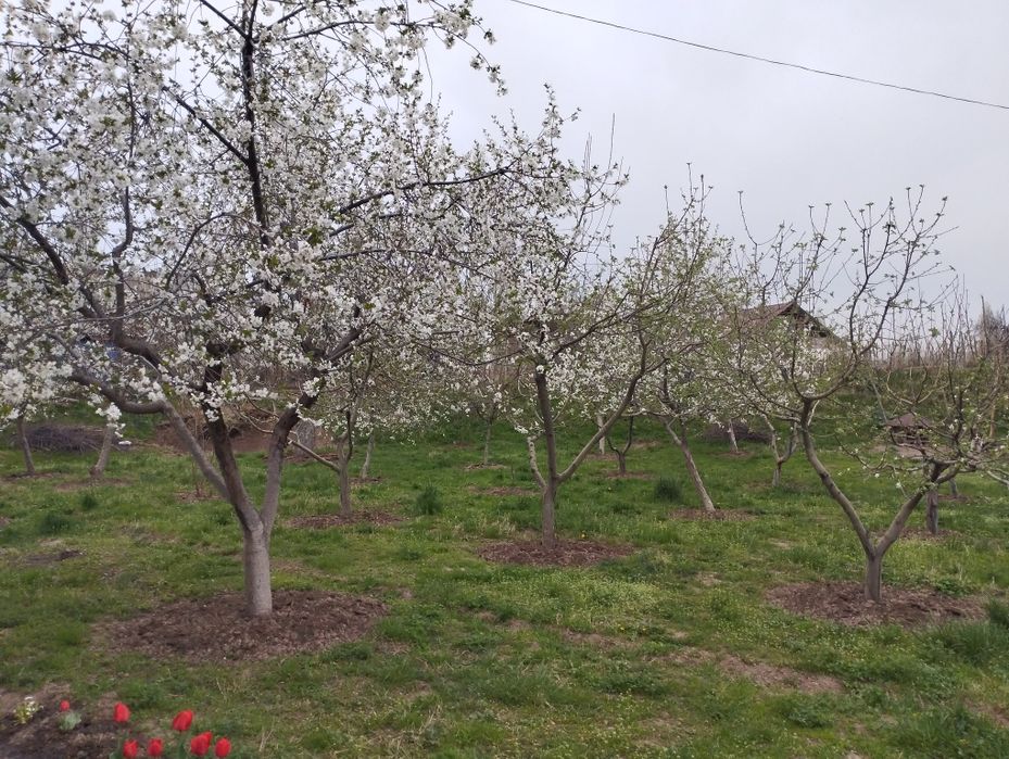 Продаётся большой участок 29 соток