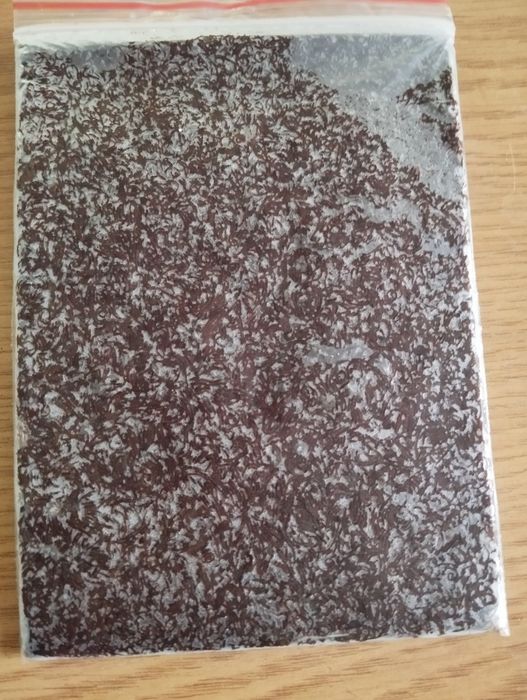 Мотыль замороженные