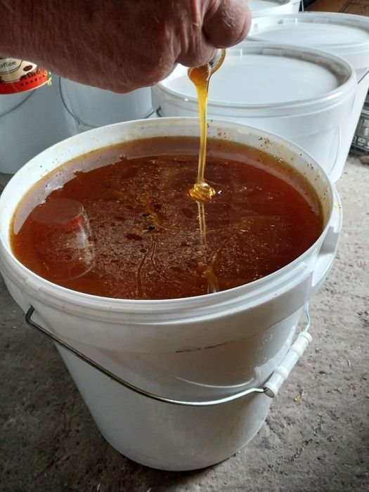 Мёд  2025-й  год