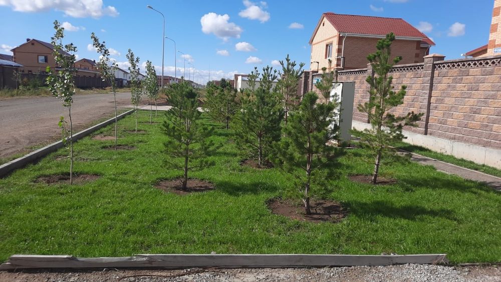 Озеленение и Благоустройство