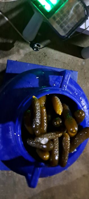 Vand castraveți murați