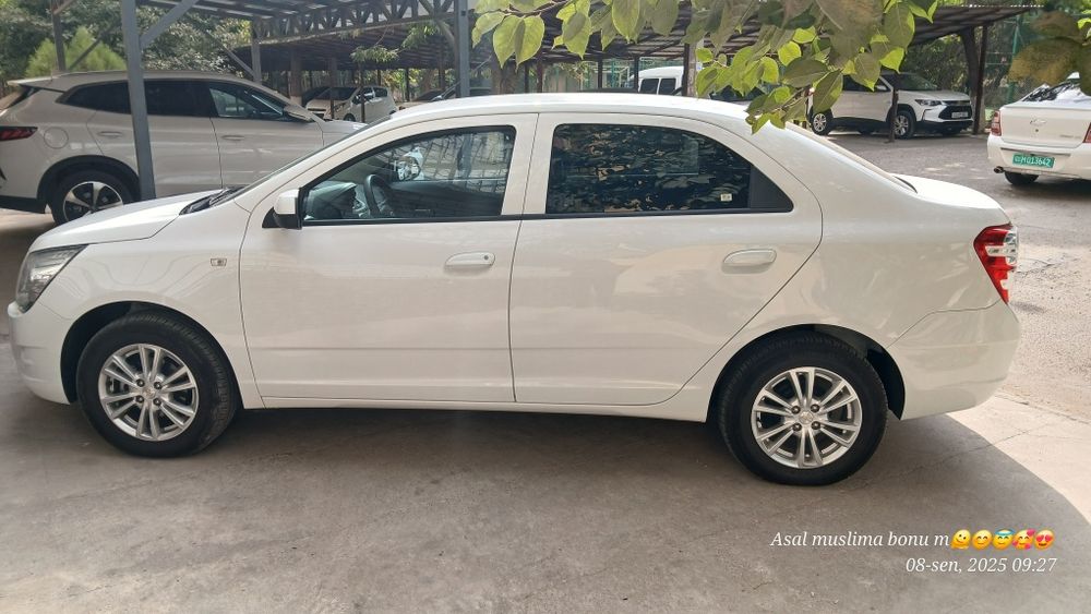 Koblt Arenda 2024 4 pazisa