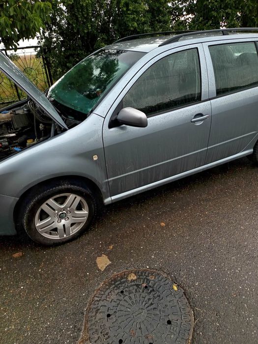 Vand skoda fabia