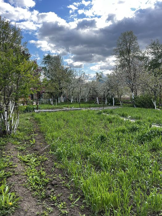 СРОЧНО!!!Продам дачу мечты