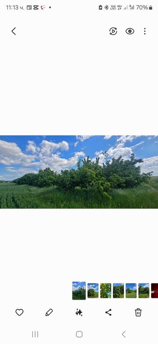 Продава се Черешова Градина