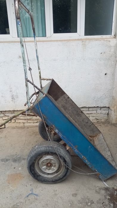 Arava                .