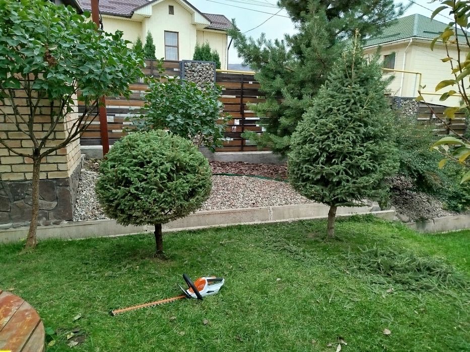 Стрижка деревьев