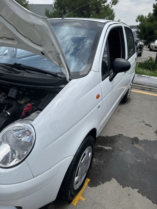Matiz mx pirastoy gdrolika
