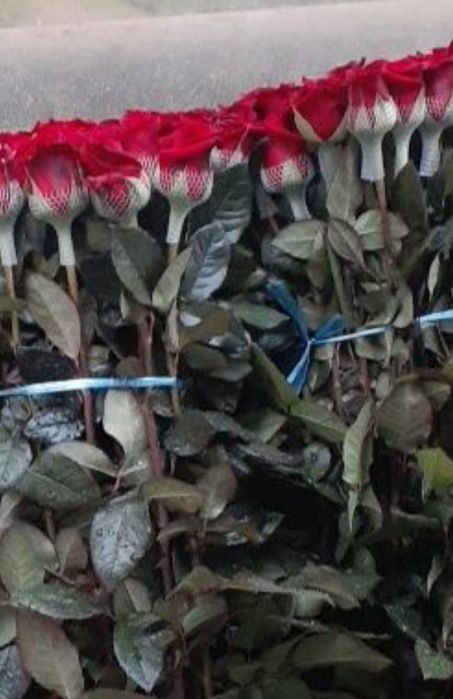 Assalomu aleykom Atirgul gunchasiga taqiladigan setka bor.