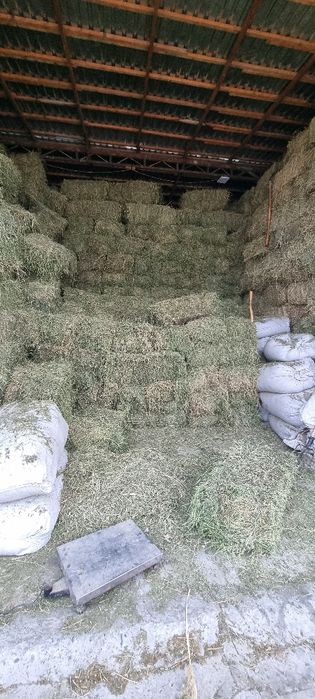 Беда пресс Бухоро Beda pres Buxoro G‘ijduvonda