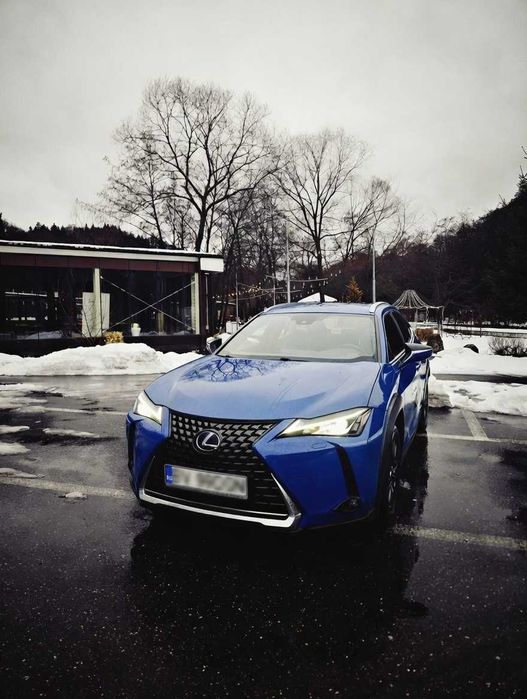 Lexus UX 250h Hybrid, Istoric reprezentanța, Proprietar