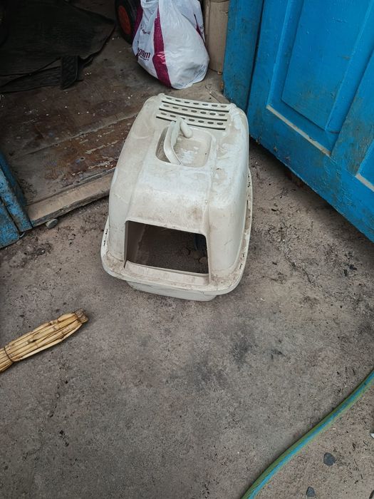 Лоток (таулет) для кошек