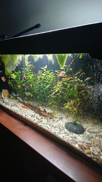 Аквариум с рыбками, полностью упакованный