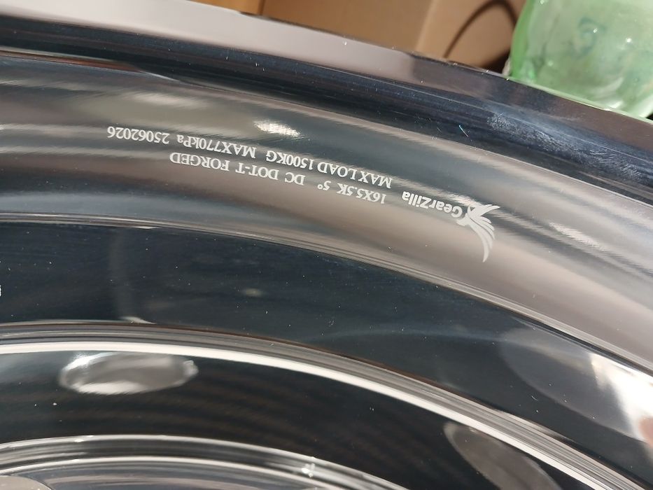 Дики на газель новый